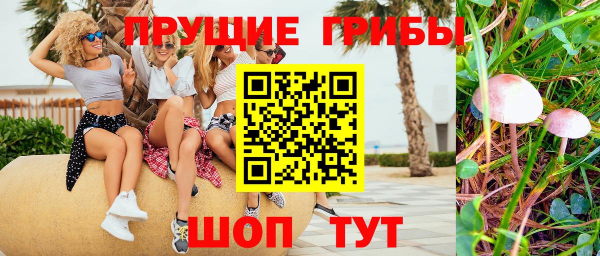 Галлюциногенные грибы Psilocybe Семёнов